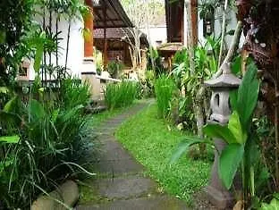 Argasoka